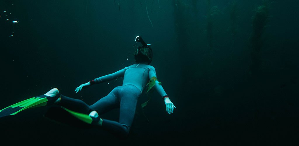 A diver explores beneath the water.