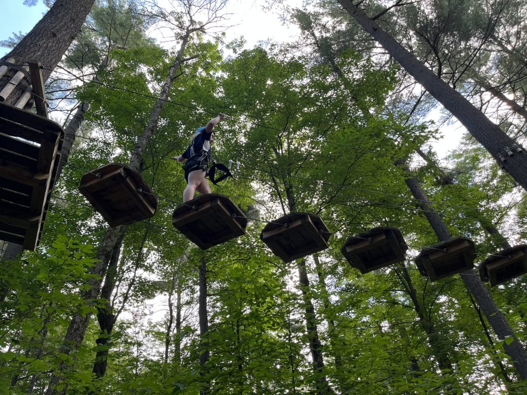 Treetop Trekking on course platform