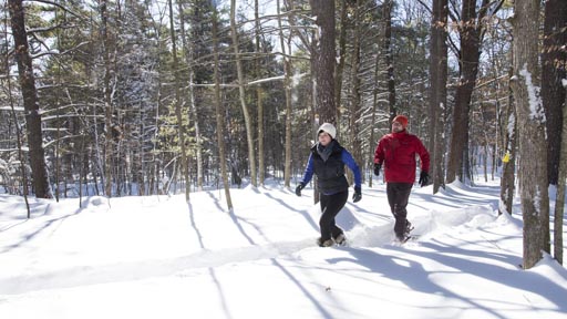 Two people walking through snow in a forest.