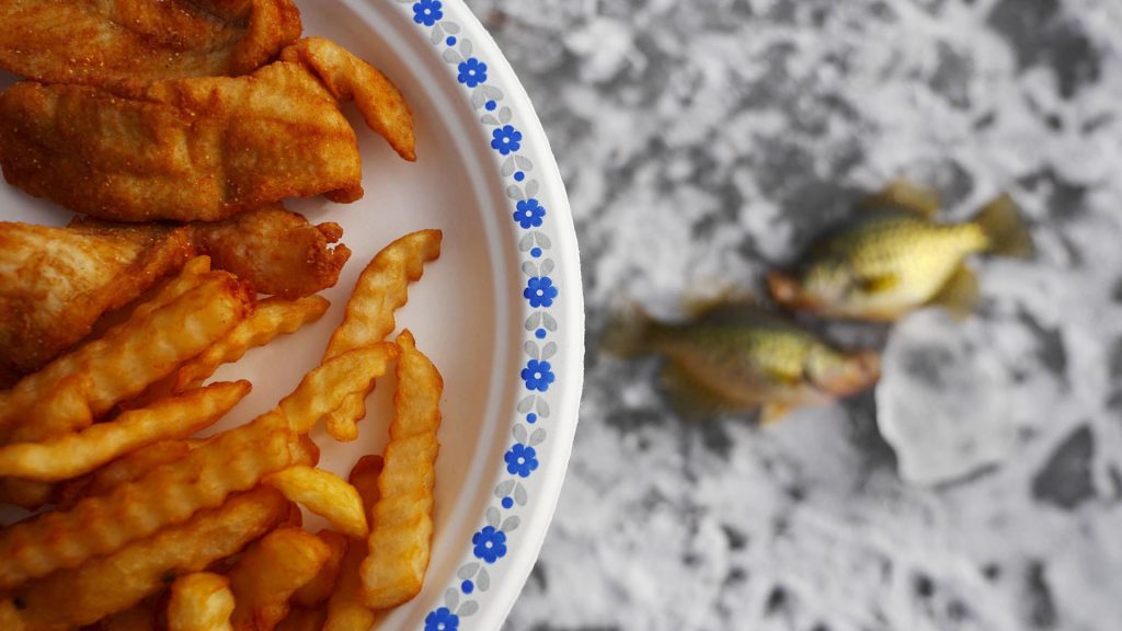 Fried fish and fries on a paper plate.