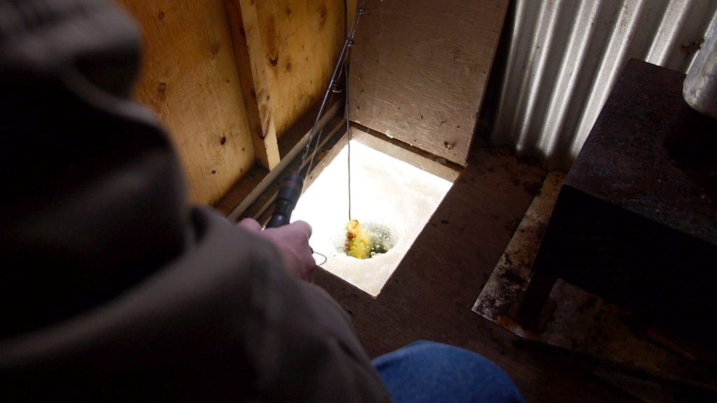 A fish being caught through the floor of an ice-fishing hut.