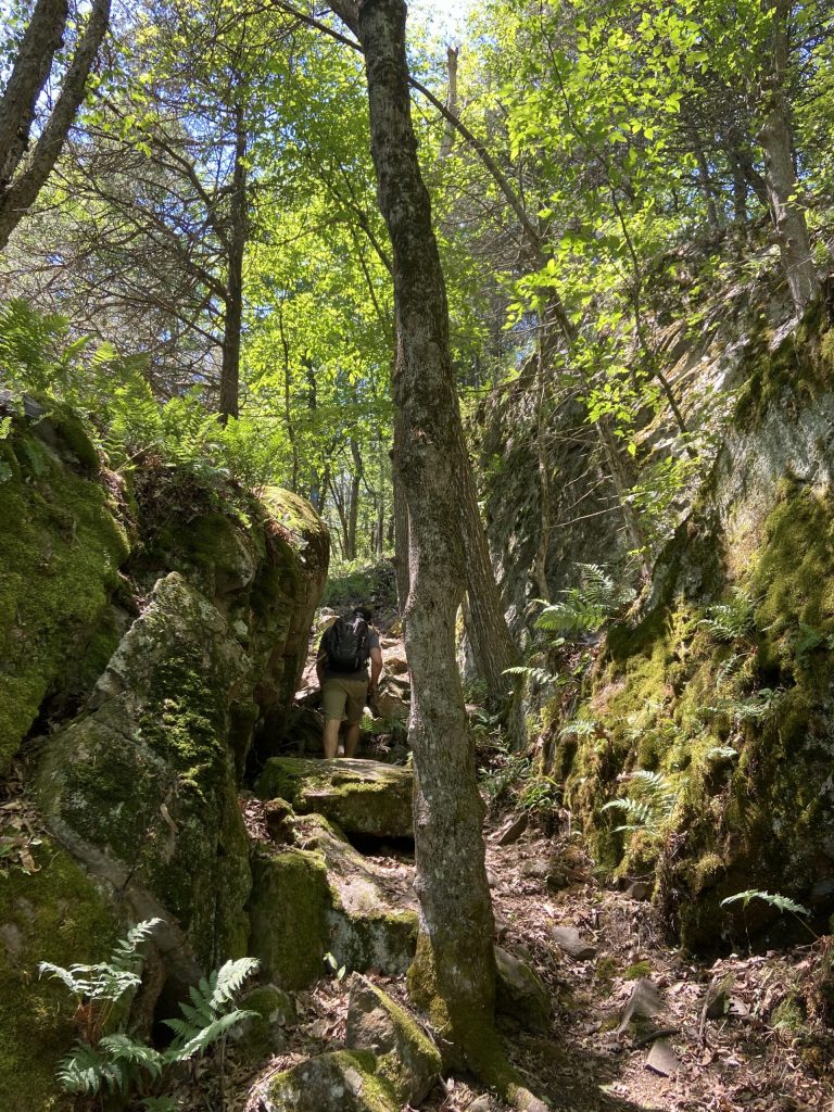 A hiker makes his way up a trail in the 1000 Islands.