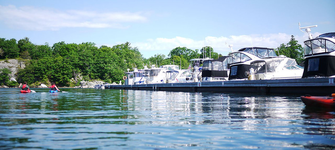 Boats docked in a marina