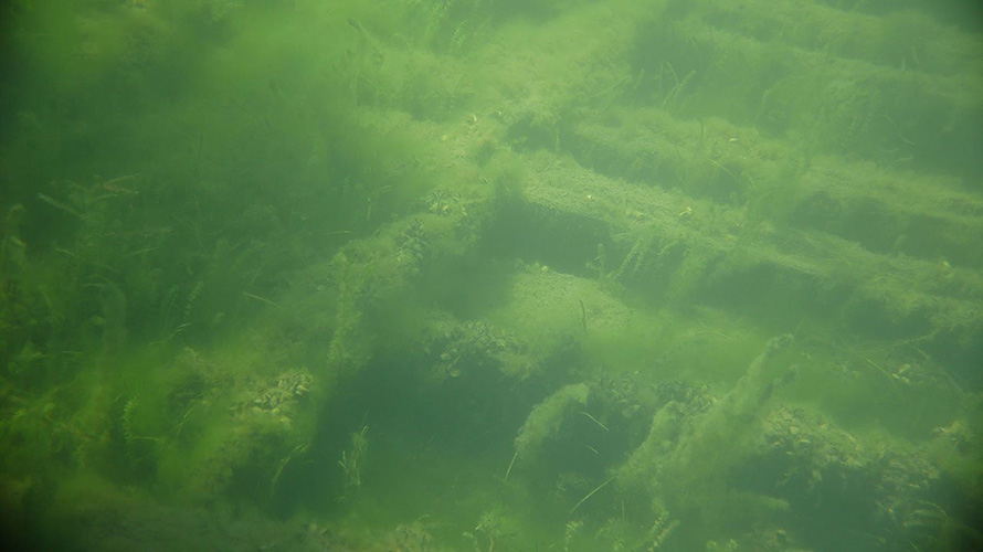 An underwater view of the St.Lawrence River.