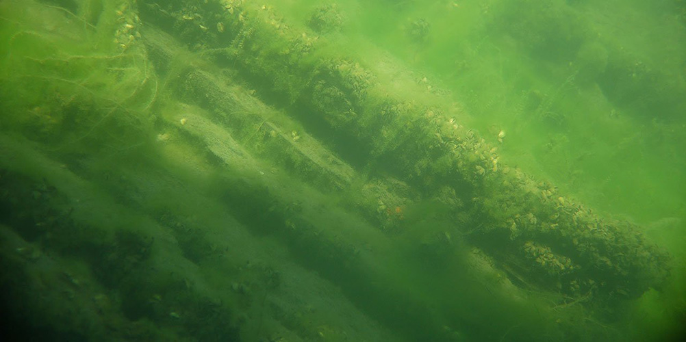 Underwater views of the St. Lawrence River.