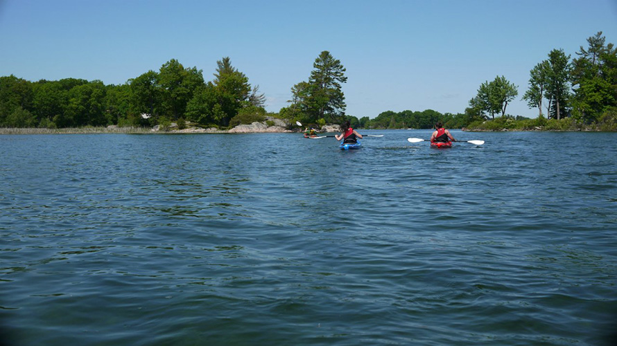 A group of kayakers in the 1000 Islands.