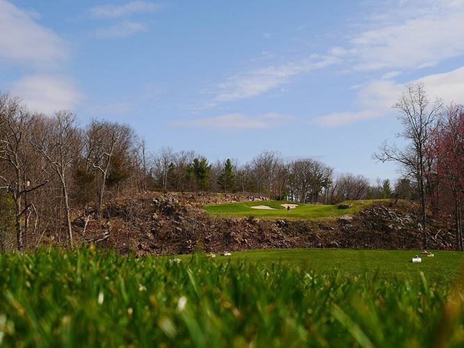 The greens of a golf course.