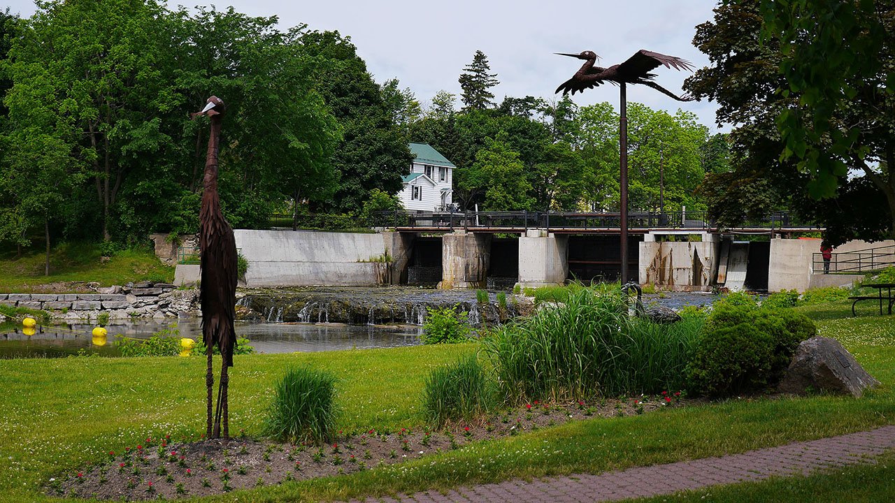 A bridge in a park