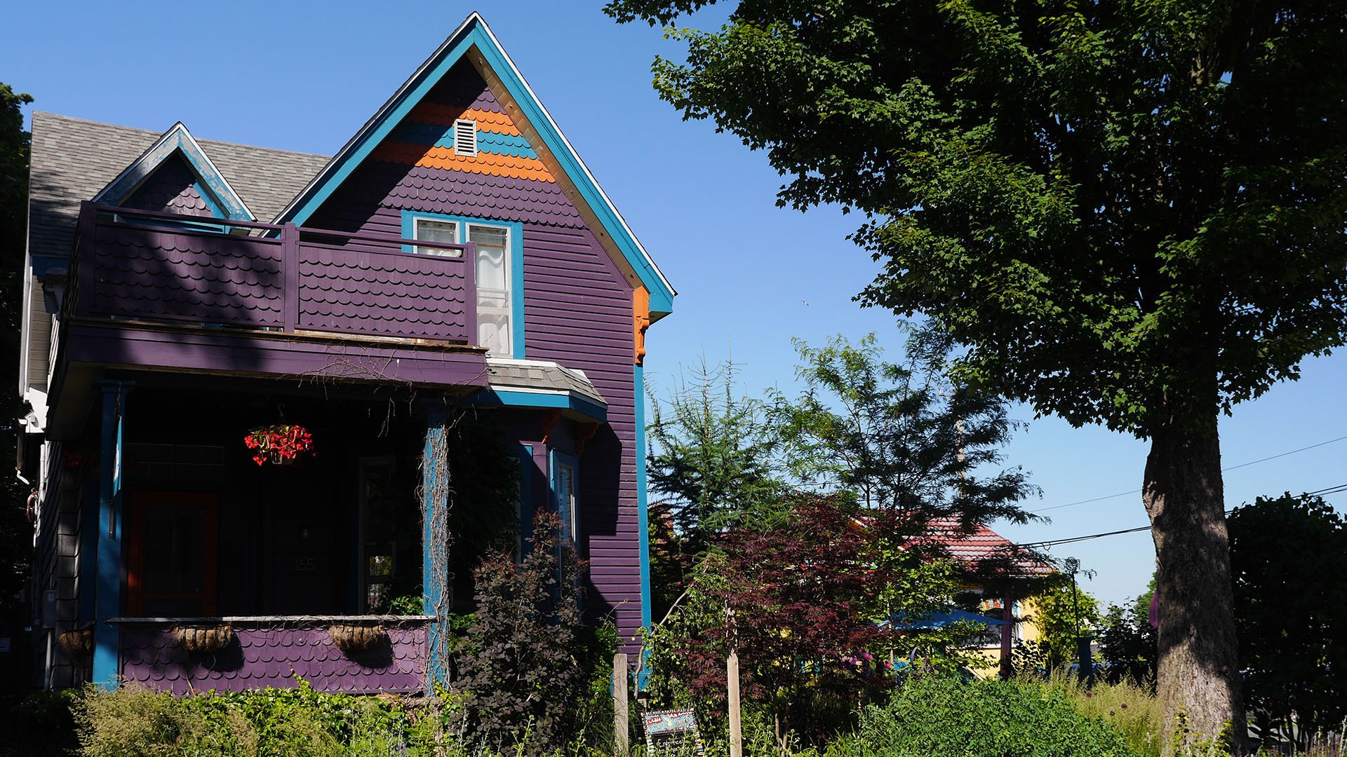 A purple house surrounded by trees.