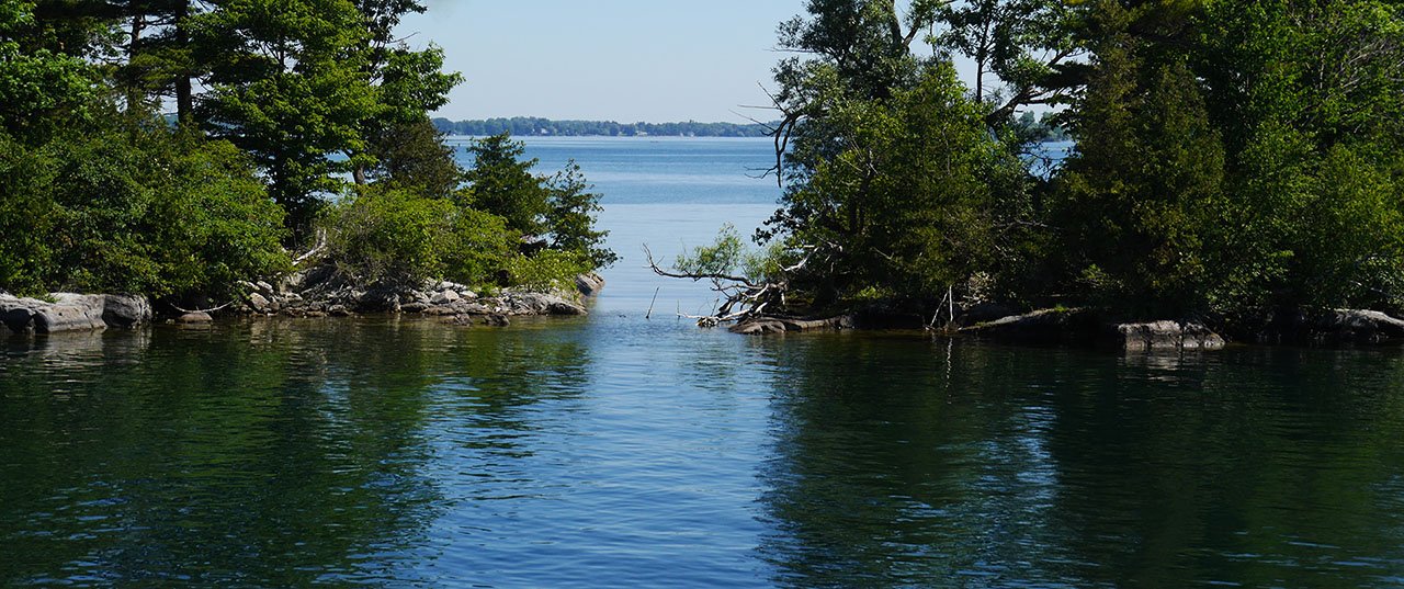 The St. Lawrence River 