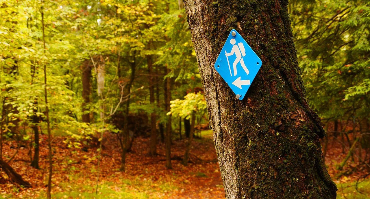 A "hiking" sign in the middle of autumn woods.